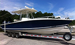2010 29' Jupiter